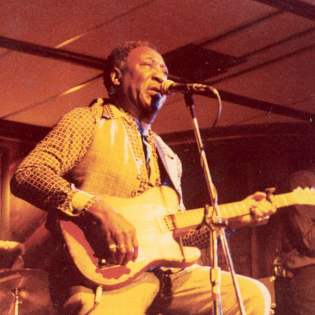 Muddy Waters, Chicago Blues musician